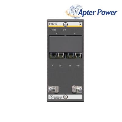 Bachmann FM212 Fender Amplifier
