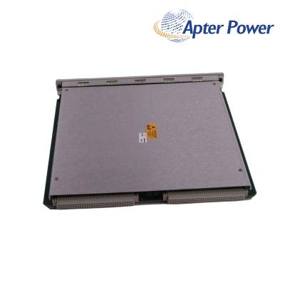 Bently Nevada 3500/60 190085-01L Temperature Monitor
